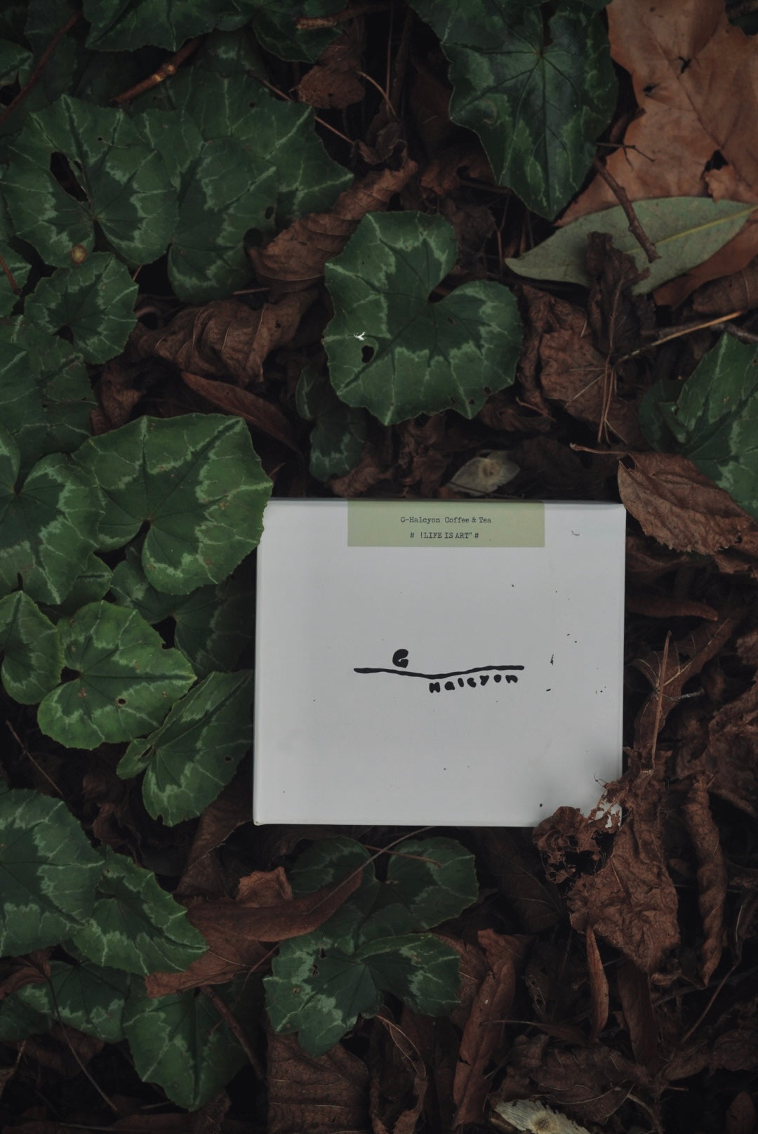 Hanging ear coffee bag