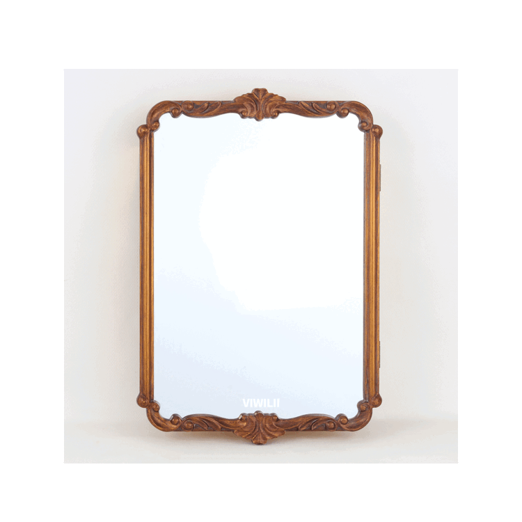 Vintage carved style cabinet mirror with gold finish