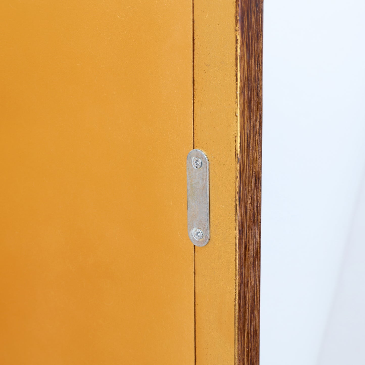 Vintage carved style cabinet mirror with gold finish